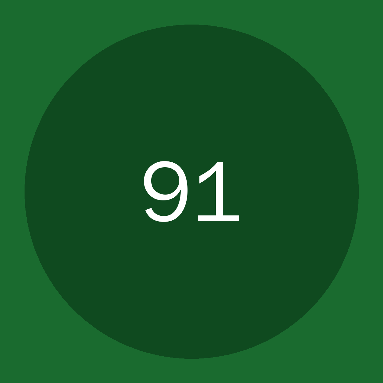 91品牌Logo